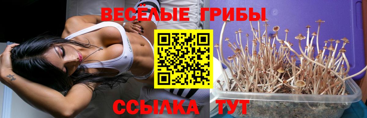 Нововоронеж  Псилоцибиновые грибы прущие грибы  Вход с VPN 